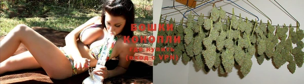 шишки Балабаново