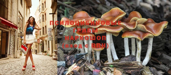 каннабис Баксан
