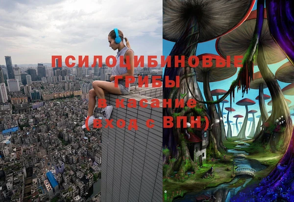 спайс Беломорск