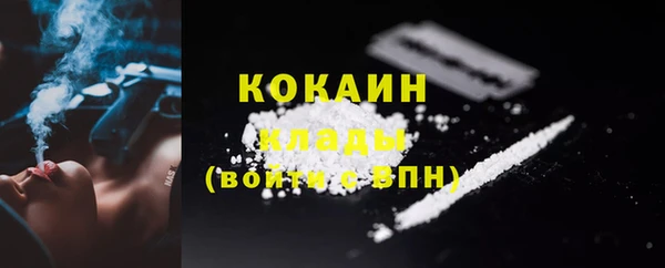 шишки Балабаново