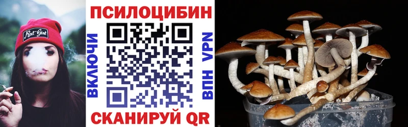 Псилоцибиновые грибы мухоморы  Купить где  Жуков 